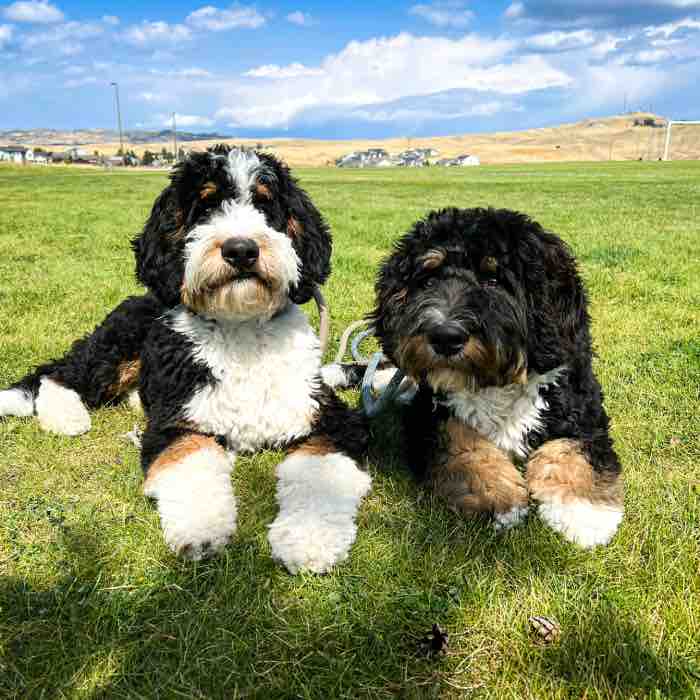 Artie & Ernie